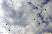32 FESTIVAL CERVIA 2012 - 319